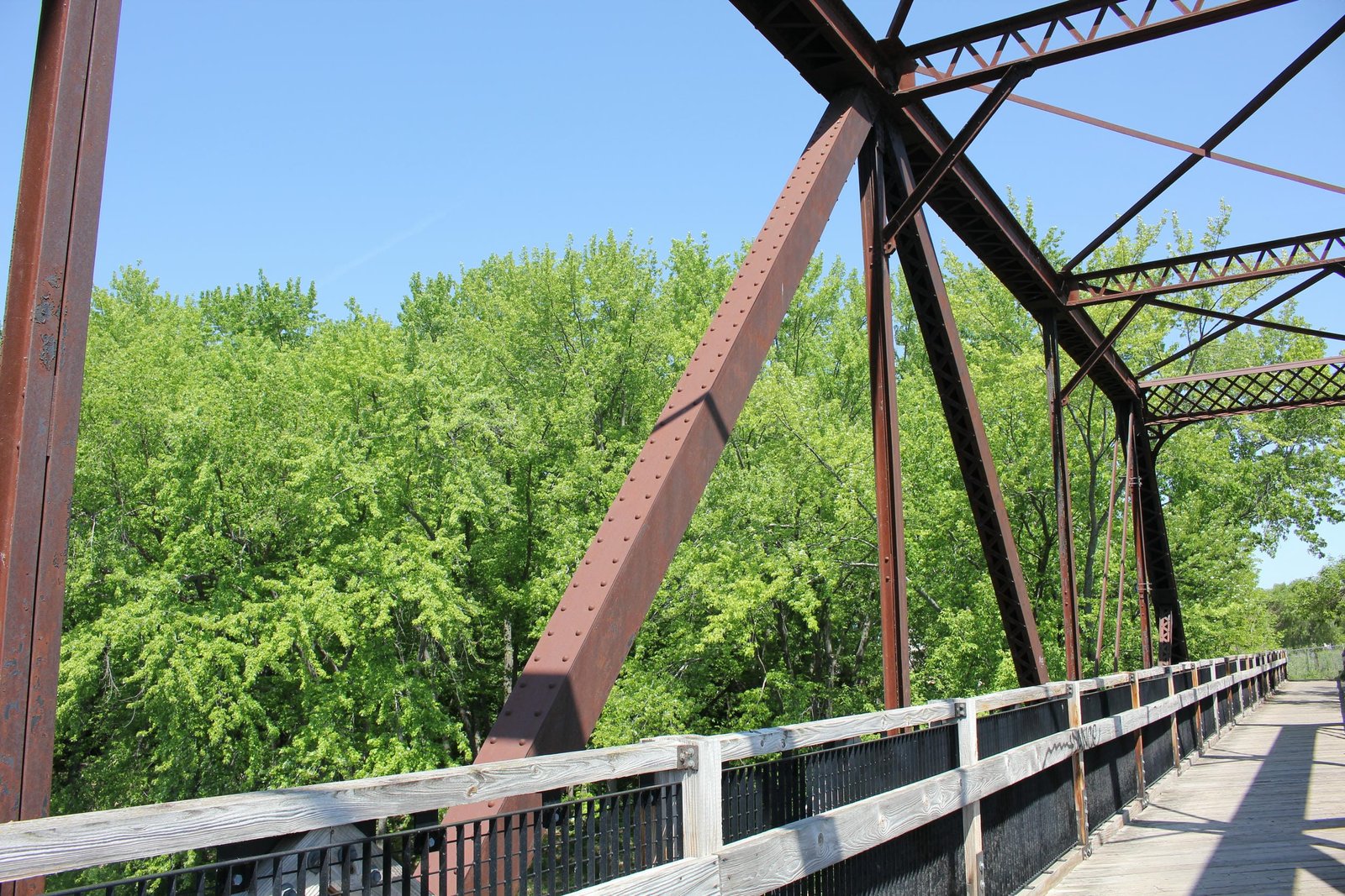 Diagonal member, north span (span #4)